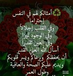 ٢٠٢٥١٠١٦_٢٢٥٠٢٠.jpg ٢٠٢٥١٠١٦_٢٢٥٠٢٠.jpg