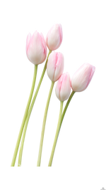 1779106240052.png