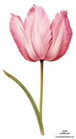 1779106382329.png
