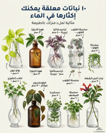 حوّل زوايا منزلك إلى شلالات خضراء مذهلة بأقل تكلفة! 😍💧