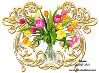 سكرابز اشكال زخرفية للتصميم-3.png