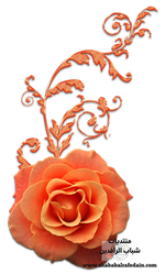 سكرابز اشكال زخرفية للتصميم-41.png