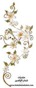 سكرابز اشكال زخرفية للتصميم-43.png