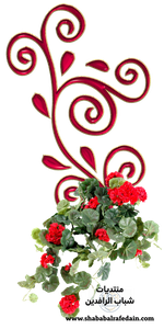 سكرابز اشكال زخرفية للتصميم-44.png