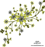 سكرابز اشكال زخرفية للتصميم-53.png