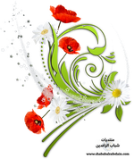 سكرابز اشكال زخرفية للتصميم-59.png
