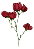 فواصل ورود راقية للمواضيع-10.png
