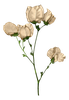 فواصل ورود راقية للمواضيع-11.png
