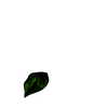 فواصل ورود راقية للمواضيع-25.png
