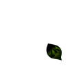 فواصل ورود راقية للمواضيع-26.png