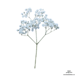 1780309192009.png