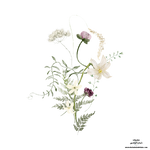 1780309205026.png