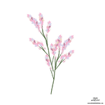 1780309679431.png