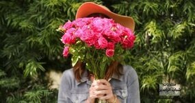 رسائل صامتة تحملها كل باقة ورد.. كيف تختار الزهرة المناسبة لكل موقف؟
