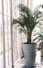 أفكار بسيطة لديكور الزوايا المنسية فى المنزل وبأقل التكاليف جددى بيتك-1.jpg أفكار بسيطة لديكور الزوايا المنسية فى المنزل وبأقل التكاليف جددى بيتك-1.jpg