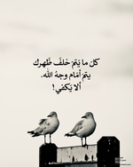 1786262043131.png