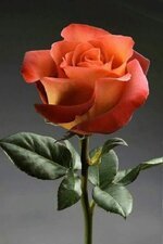 أسماء الزَّخرفة في العربية: