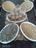 FB_IMG_1613809170712.jpg FB_IMG_1613809170712.jpg