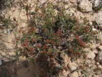 CC4CC0A5-4562-412C-AEED-5F7F6614C55D.jpeg CC4CC0A5-4562-412C-AEED-5F7F6614C55D.jpeg