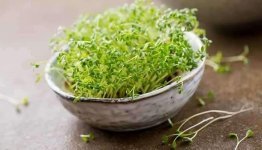 FB_IMG_1619808191491.jpg FB_IMG_1619808191491.jpg