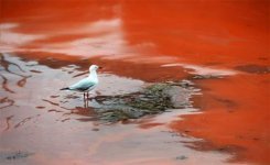 FB_IMG_1620984781837.jpg FB_IMG_1620984781837.jpg