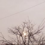٢٠٢١٠٥٢٥_١٩١٧٠١.jpg